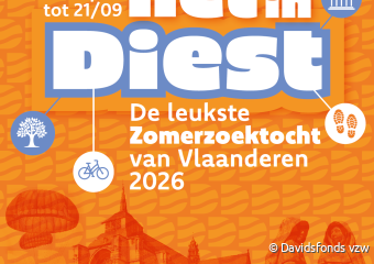 Zomerzoektocht Diest
